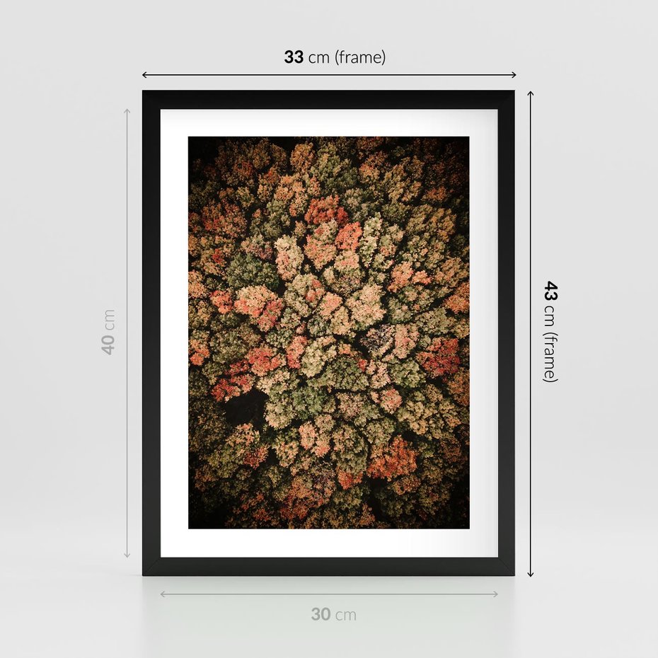 Plakat w ramie 30x40 - Jesień z Lotu Ptaka: Malowniczy Las - las jesienią z lotu ptaka - rama czarna