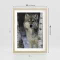 Plakat w ramie 30x40 - Wilk w Zimowym Lesie - wilk, las - rama drewno
