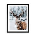 Plakat w ramie 50x70 - Jeleń na Zdjęciu pod Śniegiem - jeleń, zima - rama czarna
