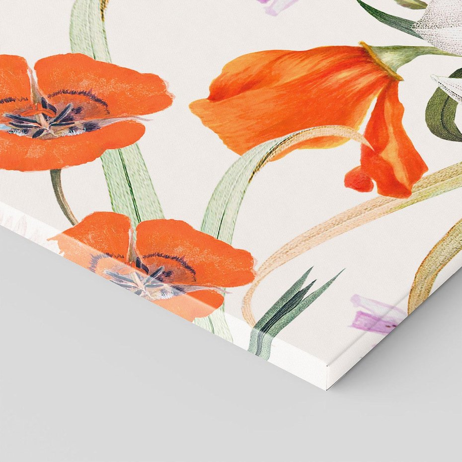 Obraz na płótnie 70x50 - Polne Kwiaty - polne kwiaty, na białym tle