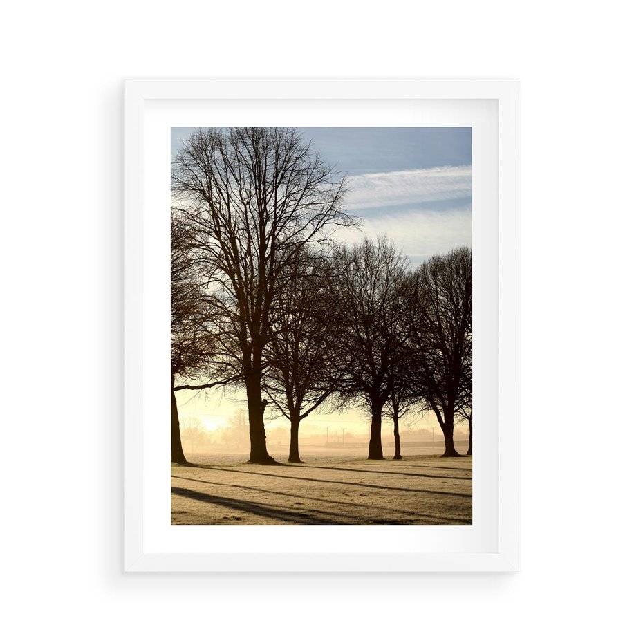 Plakat w ramie 40x50 - Siła natury - drzewa, pole - rama biała