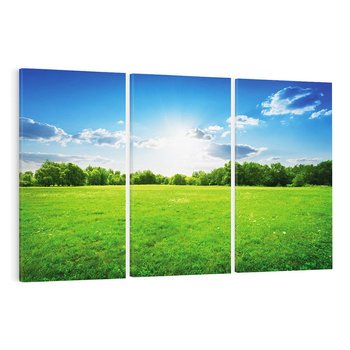 Obraz na płótnie 120x80 - Idylla na łące drzew - łąka, drzewa