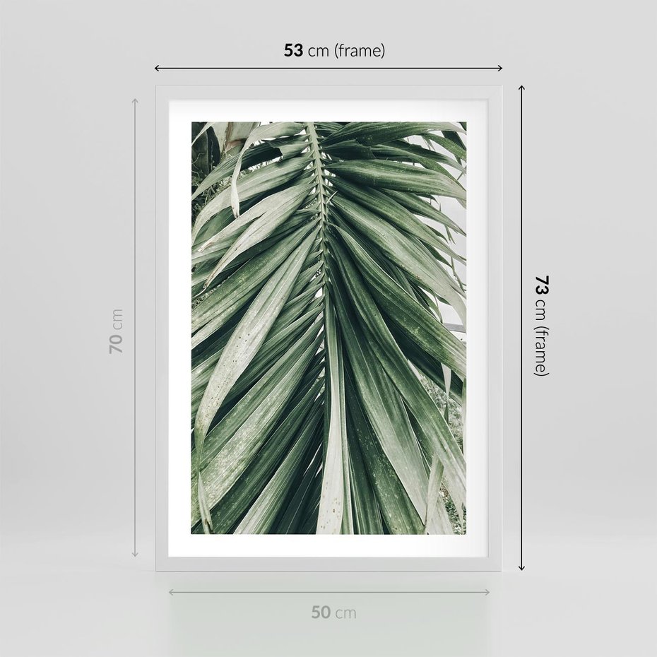 Plakat w ramie 50x70 - Spokojna Piękność Palmowych Liści - palma, liście palmy - rama biała