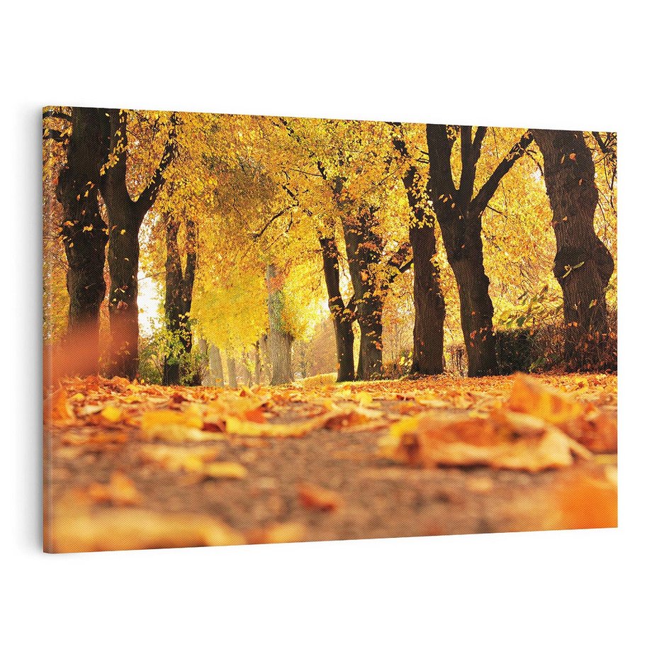 Obraz na płótnie 120x80 - Jesień, Liście, Park - Kolorowa Symfonia - jesień, liście