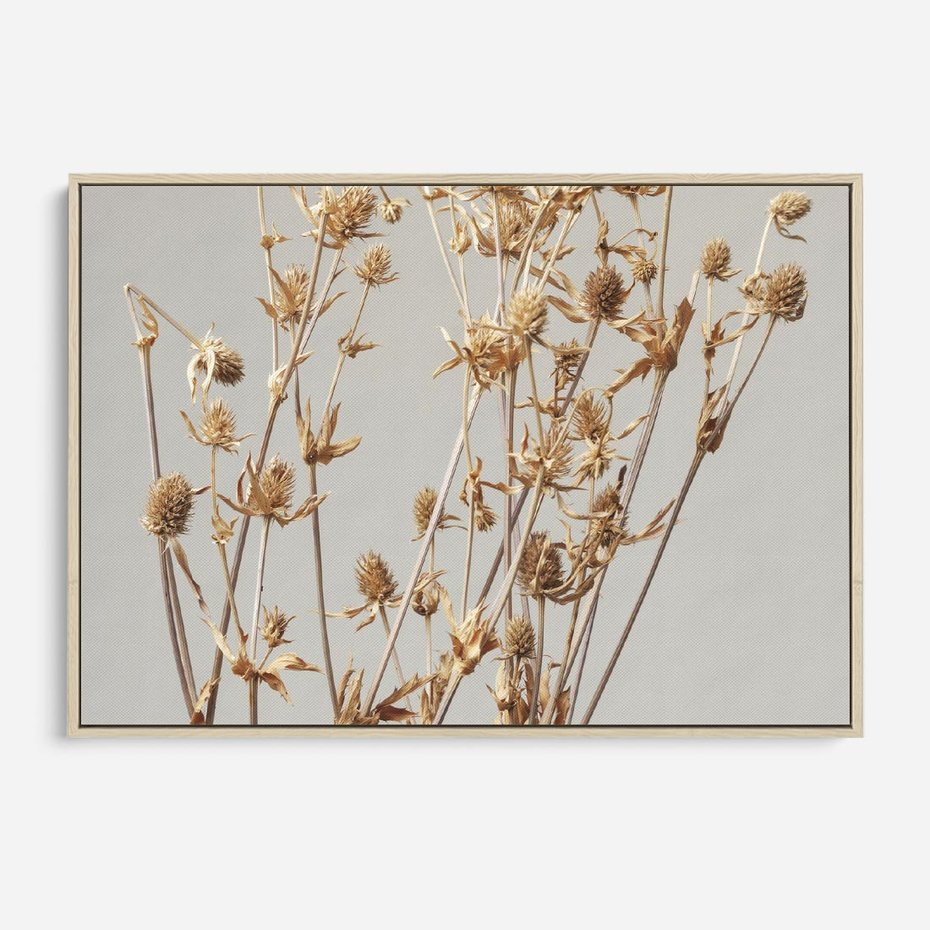 Obraz w ramie 70x50 - Delikatne gipsówki - gipsówka, suche - rama drewno