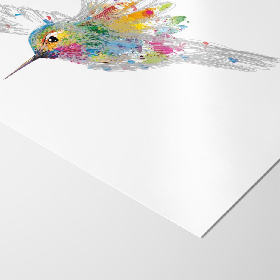 Plakat bez ramy 40x50 - Koliber w akwareli - akwarela, koliber