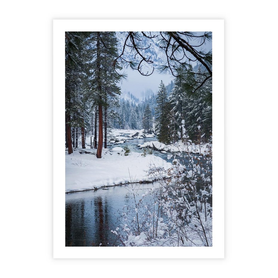 Plakat bez ramy 21x30 - Śnieżne cuda - zima, las