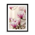 Plakat w ramie 50x70 - Urok Magnolii - magnolie, kwiaty - rama czarna