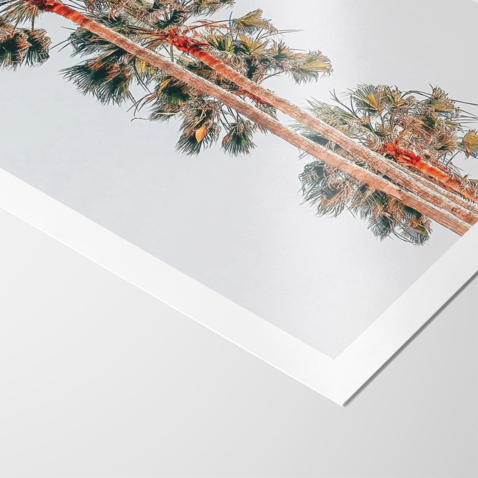 Plakat bez ramy 30x40 - Kształty Palm - palmy, zdjęcie