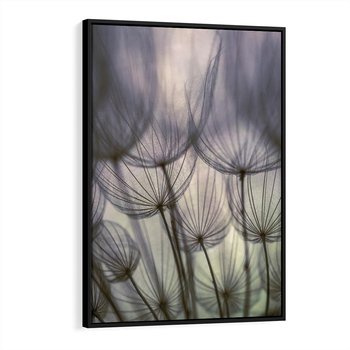 Obraz w ramie 50x70 - Makro dmuchawiec - piękno drobnych detali - dmuchawce, makro - rama czarna