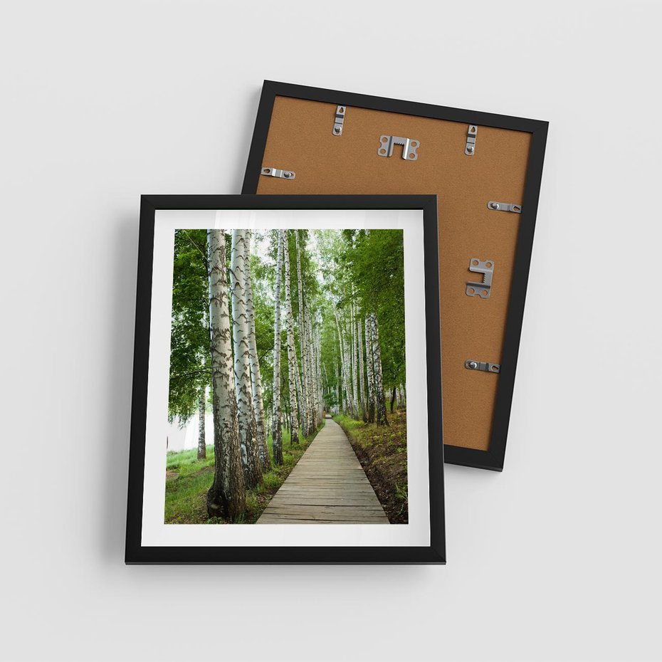 Plakat w ramie 40x50 - Spacer ścieżką przez brzozowy las - las, ścieżka - rama czarna