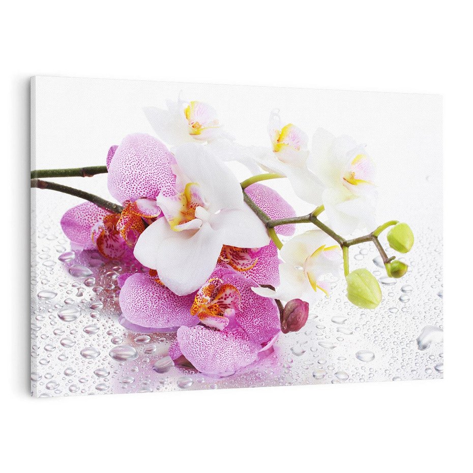 Obraz na płótnie 100x70 - Magia kwiatów - kwiaty