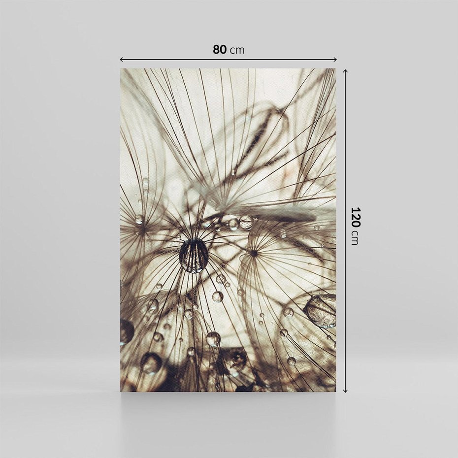 Obraz na płótnie 80x120 - Lekkie dmuchawce - dmuchawce, krople