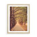 Plakat w ramie 50x70 - Wędrówka między drzewami - droga, drzewa - rama drewno