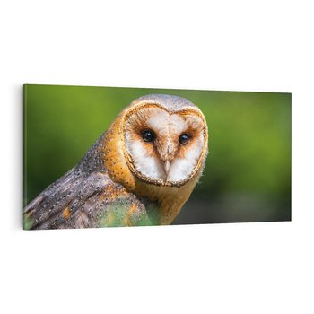 Obraz na płótnie 120x60 - Sowa nocą - sowa, ptak