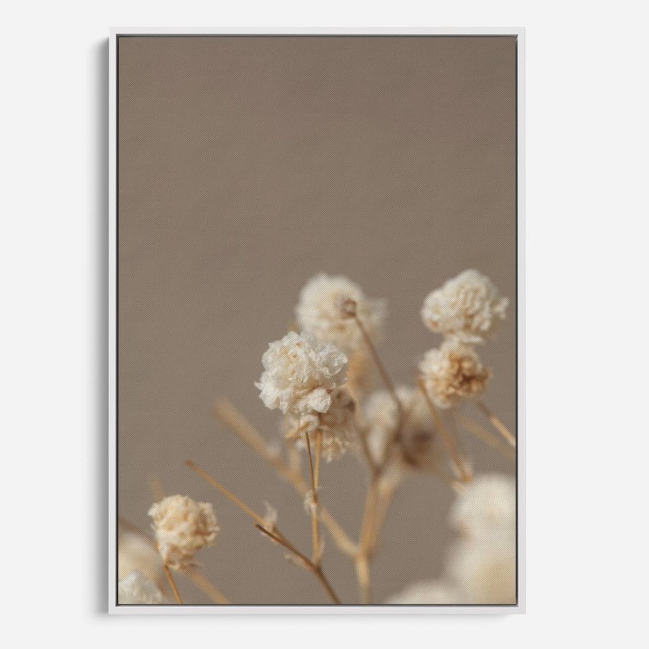 Obraz w ramie 80x120 - Przezroczyste piękno - gipsówka, suche - rama biała