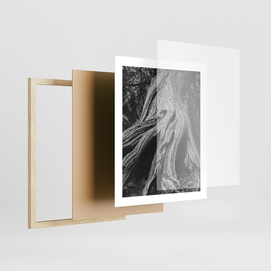 Plakat w ramie 40x50 - Siła Natury - czarno biała fotografia, korzenie wielkiego drzewa - rama drewno