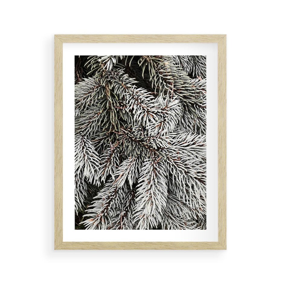 Plakat w ramie 40x50 - Cisza Zimowej Natury - zima, iglaste gałązki - rama drewno