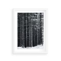 Plakat w ramie 30x40 - Leśna Cisza: Malowniczy Pejzaż Zimą - las zimą, ośnieżone pnie drzew - rama biała