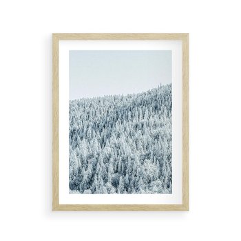 Plakat w ramie 40x50 - Cicha Zima - las, zima - rama drewno