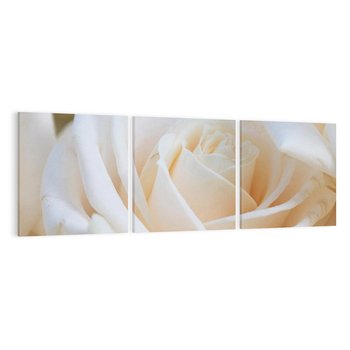 Obraz na płótnie 90x30 - Białe róże piękności - białe, róże
