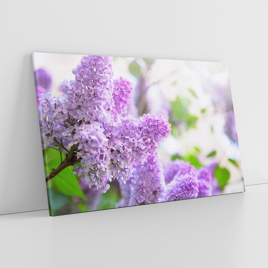 Obraz na płótnie 120x80 - Delikatny liliowy dotyk - lilie, fiolet