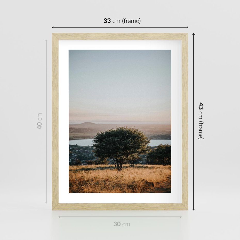 Plakat w ramie 30x40 - Siła Natury - drzewo, pejzaż - rama drewno