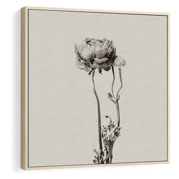 Obraz w ramie 50x50 - Kwiatowa Symfonia w Szarościach - czarno biała odbitka, jak fotografia - rama drewno