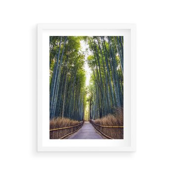 Plakat w ramie 40x50 - Urokliwa dróżka w lesie - las, dróżka - rama biała