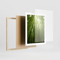 Plakat w ramie 40x50 - Siła Natury - drzewa, las - rama drewno