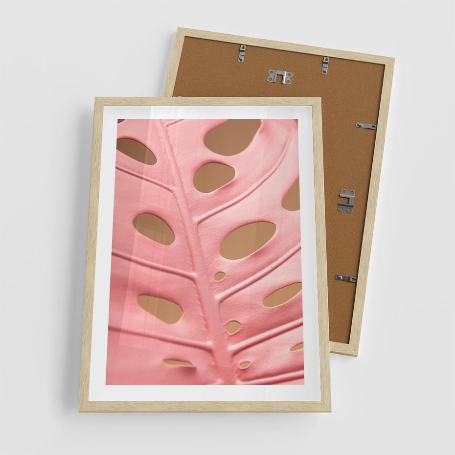 Plakat w ramie 50x70 - Różowy Liść Monstery - różowy liść monstery, nowoczesna fotografia - rama drewno