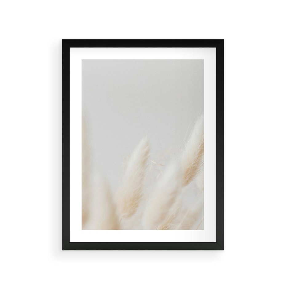 Plakat w ramie 30x40 - Biały Spokój - białe trawy, suche trawy pampas - rama czarna