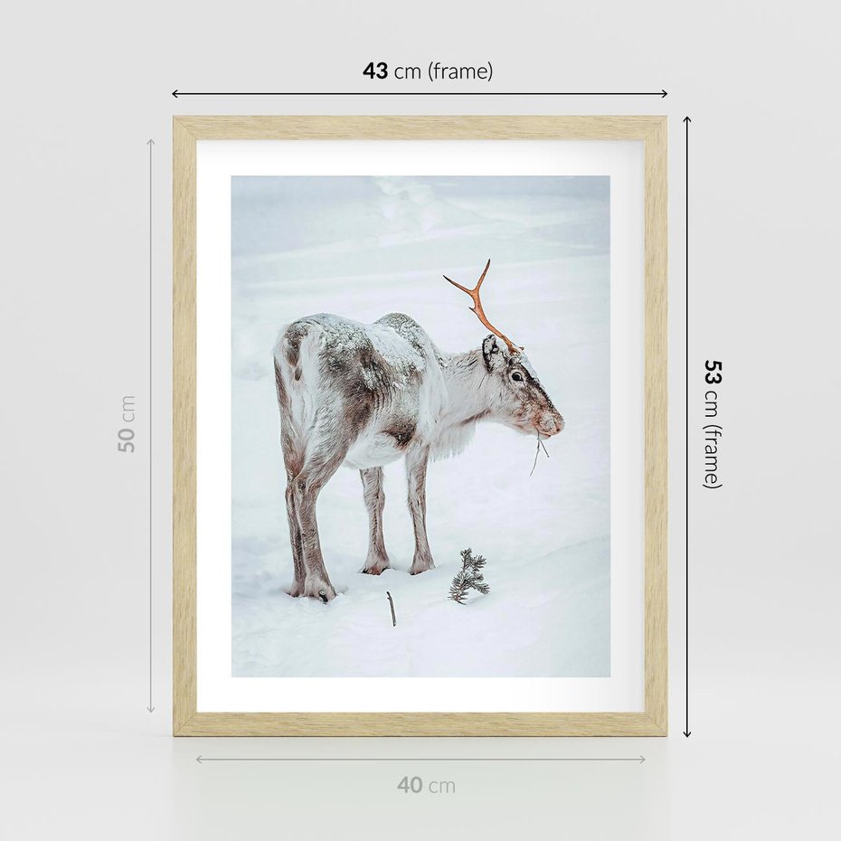 Plakat w ramie 40x50 - Magia Świąt - renifer na śniegu, śnieg - rama drewno