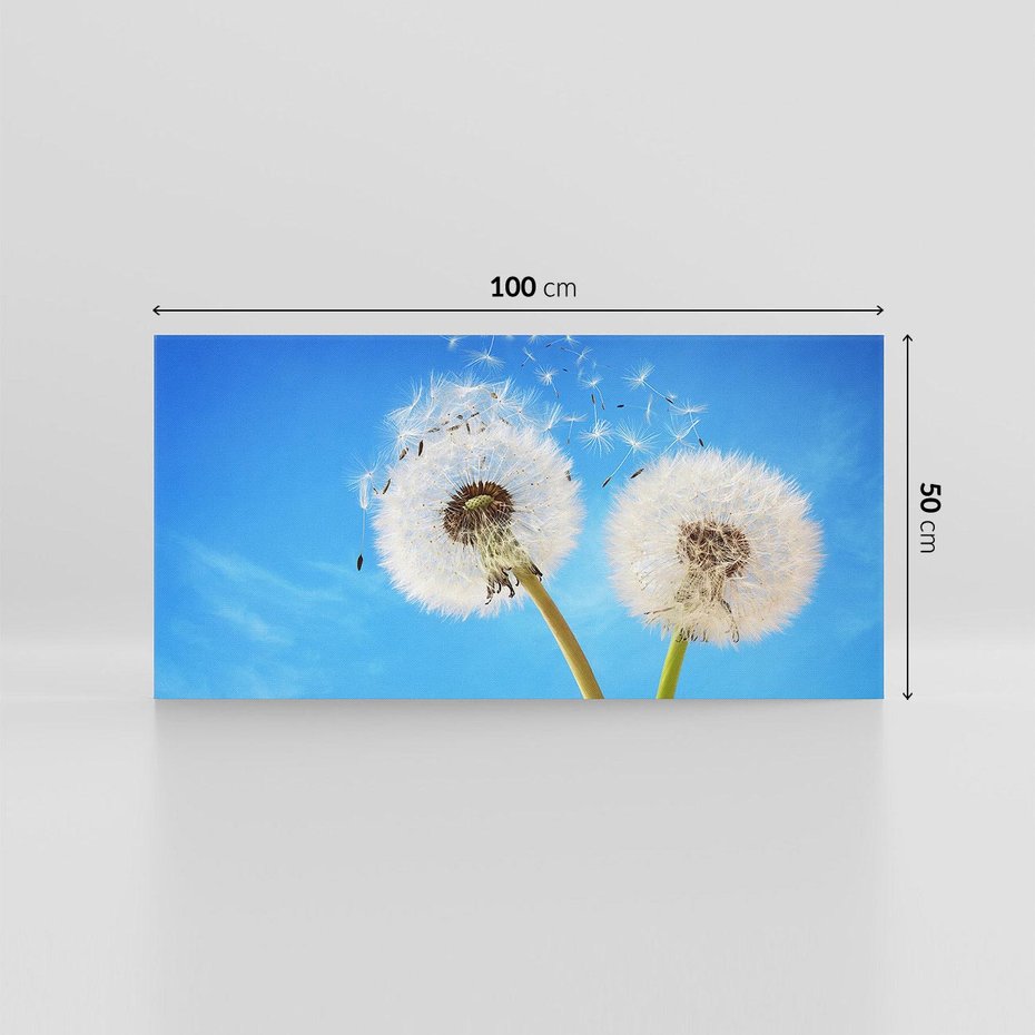 Obraz na płótnie 100x50 - wiatr pełen marzeń - dmuchawce, wiatr