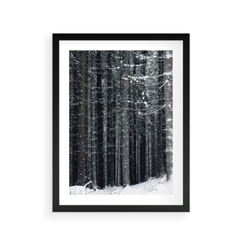 Plakat w ramie 30x40 - Leśna Cisza: Malowniczy Pejzaż Zimą - las zimą, ośnieżone pnie drzew - rama czarna