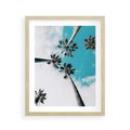 Plakat w ramie 40x50 - Palmy w Gorącym Niebie - palmy, ujęcie z dołu - rama drewno