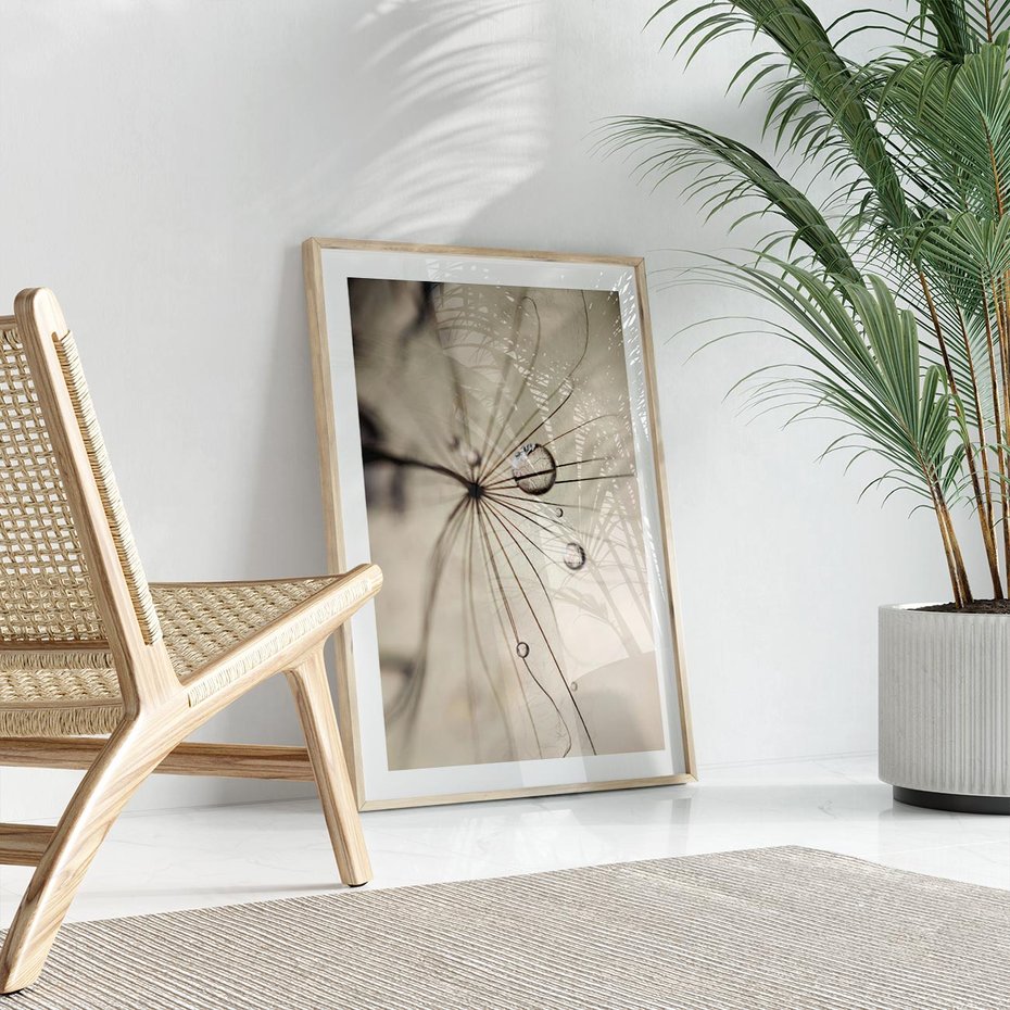 Plakat w ramie 50x70 - Makro Uroda: Kropla na Dmuchawcu - zbliżenie makro, kropla wody na ziarenku dmuchawca - rama drewno