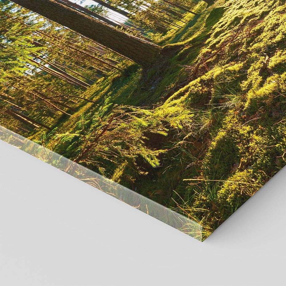 Obraz na płótnie 120x80 - Obfitość natury - las, drzewa