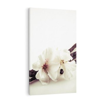 Obraz na płótnie 50x70 - Czuła delikatność wanilii - wanilia, kwiaty