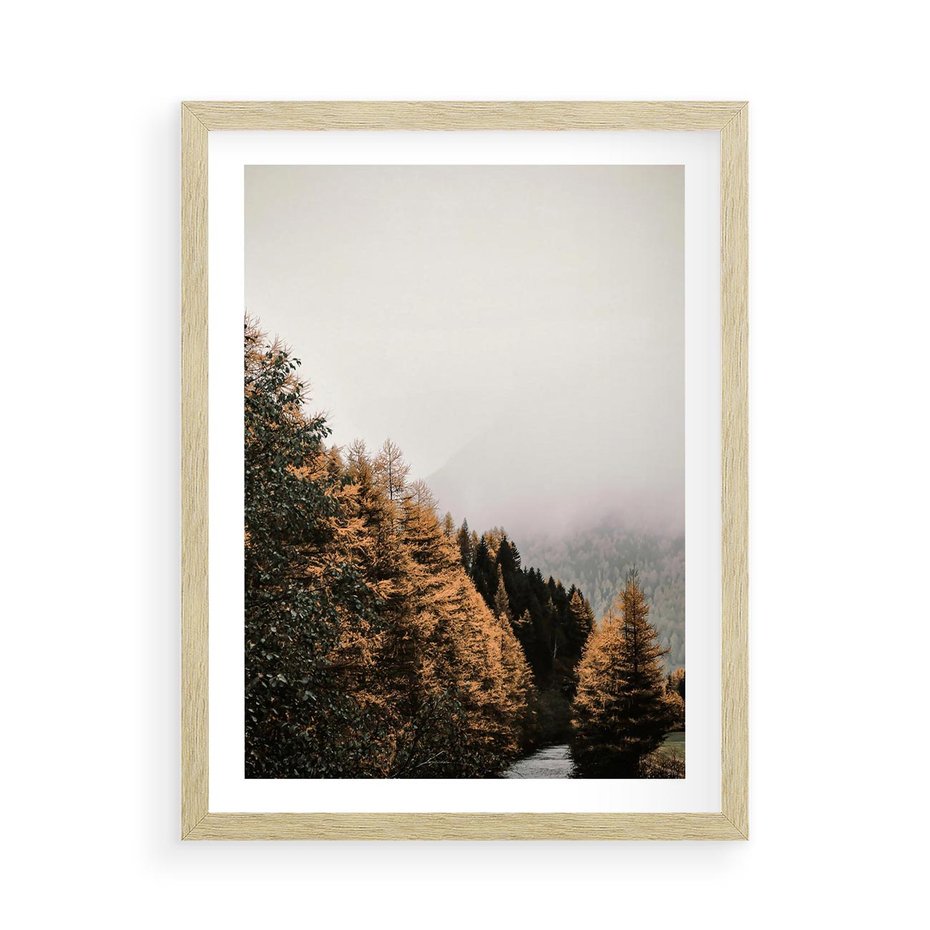 Plakat w ramie 50x70 - Kolorowa Jesień w Górskim Lesie - las, jesień - rama drewno