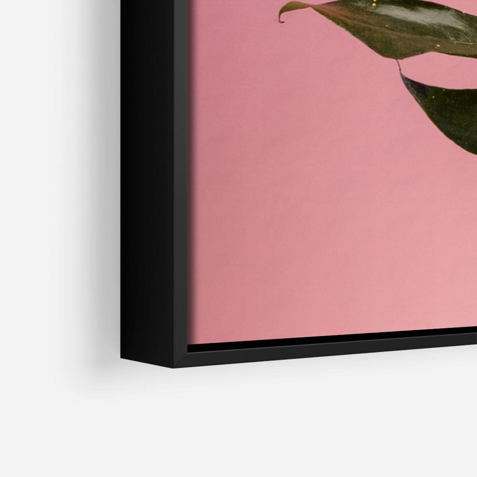 Obraz w ramie 70x50 - Majestatyczna monstera - monstera, liść - rama czarna