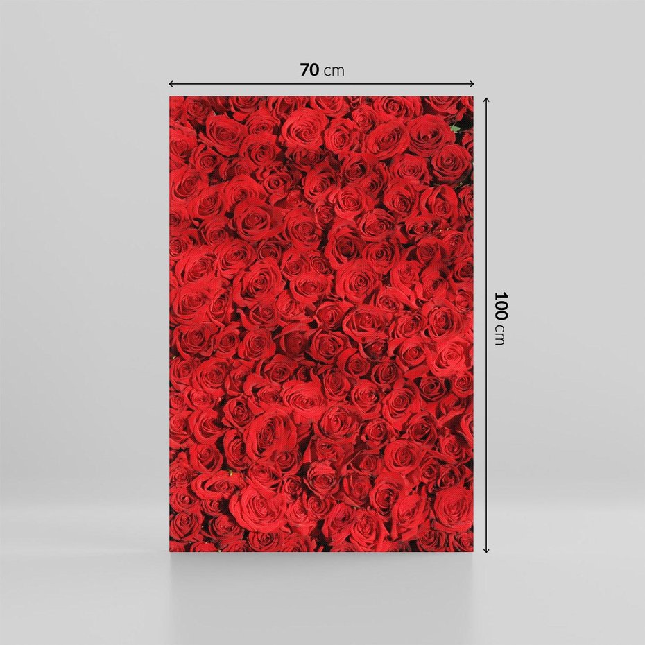 Obraz na płótnie 70x100 - Czerwona Pasja - czerwone, róże