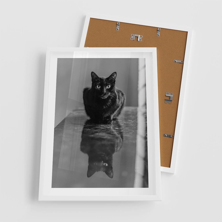 Plakat w ramie 50x70 - Kocie Oczy - kot, czarno białe zdjęcie - rama biała