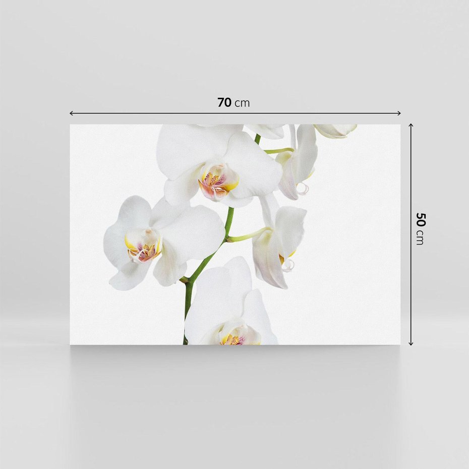 Obraz na płótnie 70x50 - Ekskluzywny Relaks - storczyk, spa