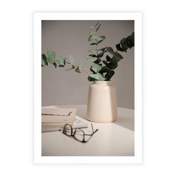 Plakat bez ramy 30x40 - Eukaliptusowe liście w okularach - liście, eukaliptus