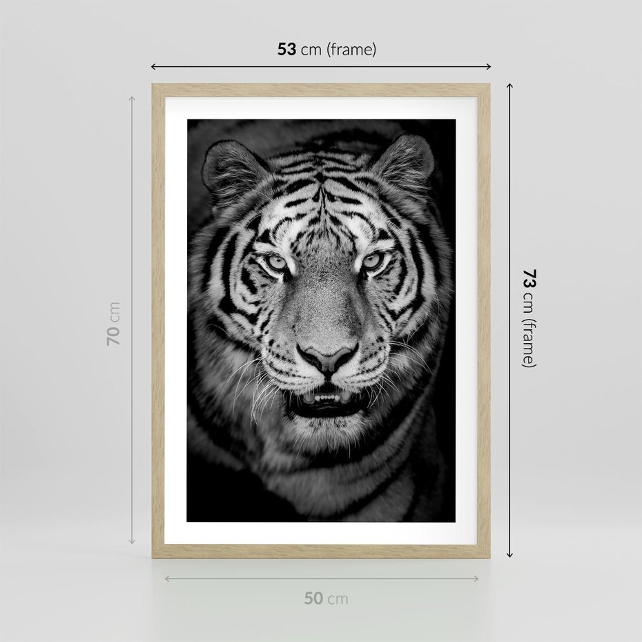 Plakat w ramie 50x70 - Tygrys Czarno-Biały: Siła i Delikatność - tygrys, czarno - rama drewno