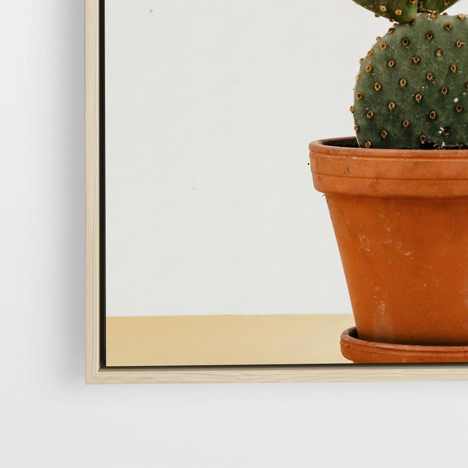 Obraz w ramie 80x80 - Kwiatowy taniec kaktusa - kaktus, kwiat - rama drewno