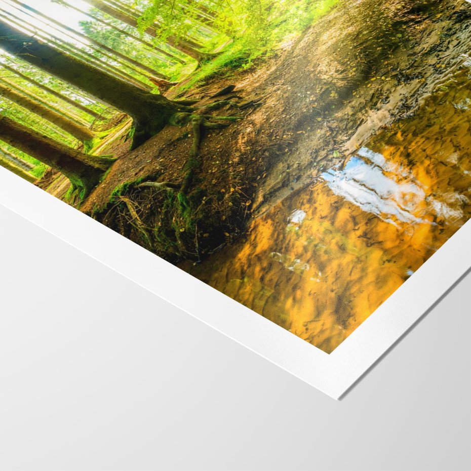 Plakat bez ramy 40x50 - Las nad Wodą - las, woda