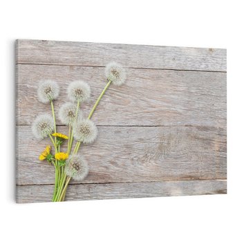 Obraz na płótnie 70x50 - Delikatne dmuchawce w otoczeniu natury - dmuchawce, natura