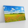 Obraz na płótnie 120x80 - Malownicze maki na łące - maki, łąka
